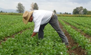 Alivio para productores: La Provincia reduce a cero la alícuota