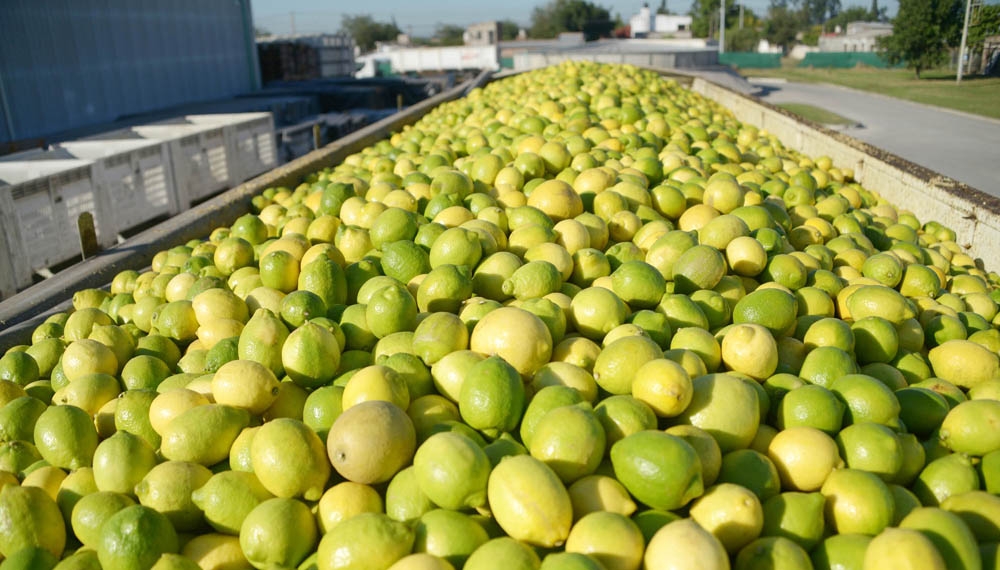 limones a china